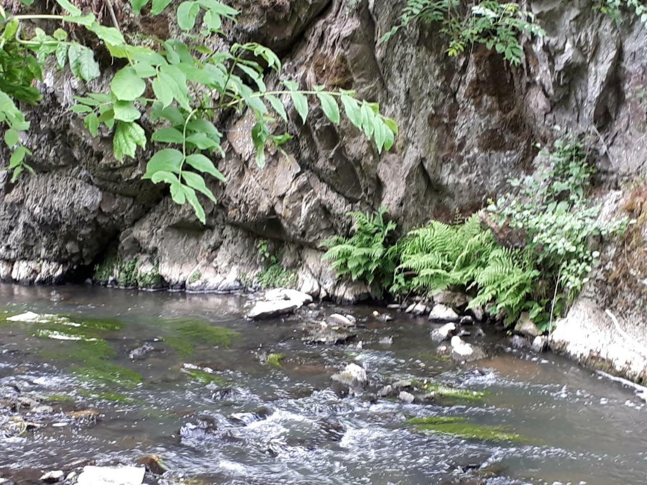 Herberg Die Alte Schleuse Manderscheid Exteriör bild