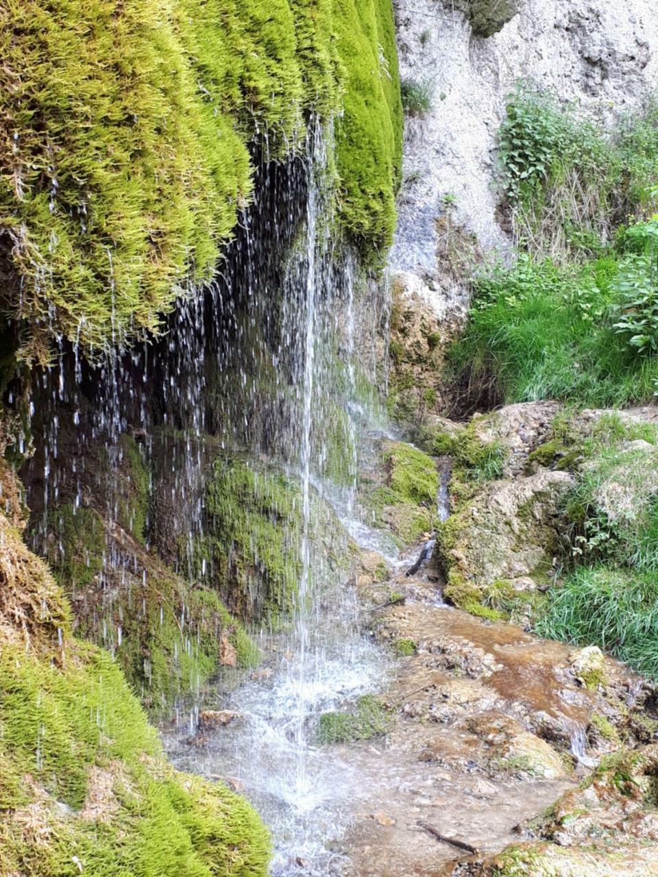 Herberg Die Alte Schleuse Manderscheid Exteriör bild